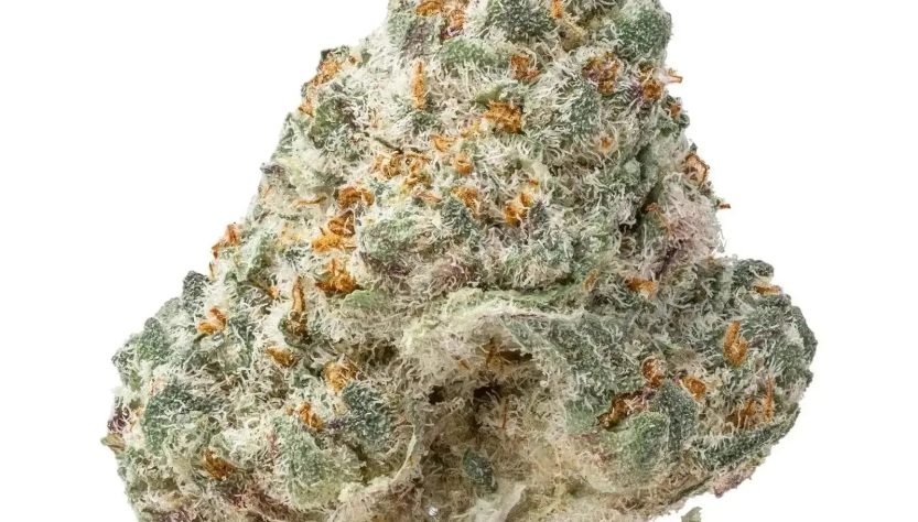 Are THCA Smalls as Good as Regular Buds?