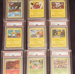Sports Card Show in North Carolina Featuring Collectors, Traders, and Rare Memorabilia