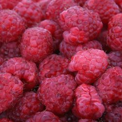 Raspberries, red, fruits — Trust Your Wellness Journey to a Knowledgeable Ayurvedic Doctor in India