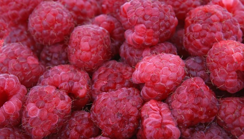 Raspberries, red, fruits — Trust Your Wellness Journey to a Knowledgeable Ayurvedic Doctor in India